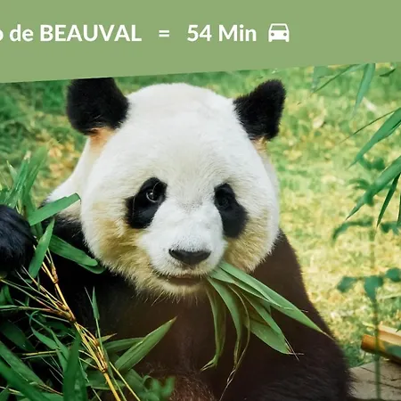 Daire #2 - - Hypercentre *