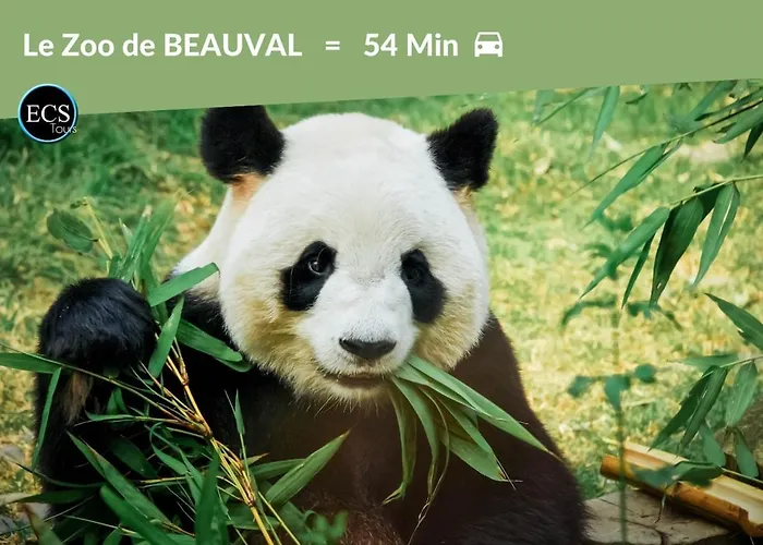 Appartamento #2 - - Hypercentre *